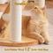 Show in main carousel: Hittite Solid Wood 62-in Polyester Cat Tree Tower & Condo with Sisal Scratching Post, Capsule & Ladder, 20.87 x 20.87 x 62-in slide 8 of 11