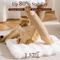 Show in main carousel: Hittite Indoor Natural Solid Wood 32-in Faux Fur Cat Tree Tower with Scratching Post, Cozy Bed & Platforms, White slide 6 of 11