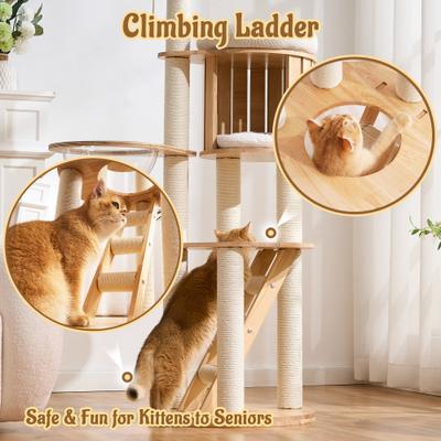 Show full view: Hittite Solid Wood 62-in Polyester Cat Tree Tower & Condo with Sisal Scratching Post, Capsule & Ladder, 20.87 x 20.87 x 62-in slide 6 of 11