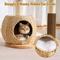 Show in main carousel: Hittite Solid Wood 38-in Faux Fur Cat Tree Tower & Condo with Sisal Scratching Post, Capsule & Ladder, 24.5 x 17.3 x 38-in slide 3 of 10