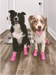 RIFRUF Caesar 1 Dog Boot, 2 count, Raspberry, size 4 slide 2 of 4