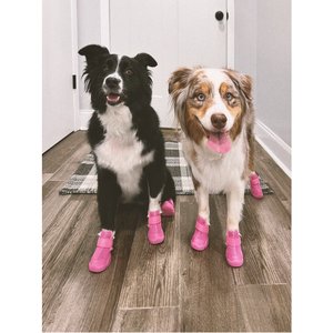 RIFRUF Caesar 1 Dog Boot, 2 count, Raspberry, size 0