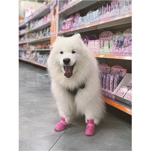 RIFRUF Caesar 1 Dog Boot, 2 count, Raspberry, size 0