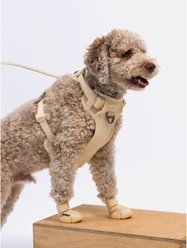 RIFRUF Caesar 1 Dog Boot, 2 count, Bone, size 2 slide 2 of 6