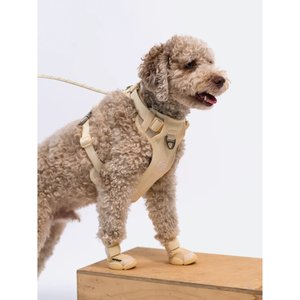 RIFRUF Caesar 1 Dog Boot, 2 count, Bone, size 3