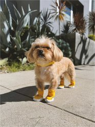 RIFRUF Caesar 1 Dog Boot, 2 count, Daffodil, size 7 slide 2 of 4