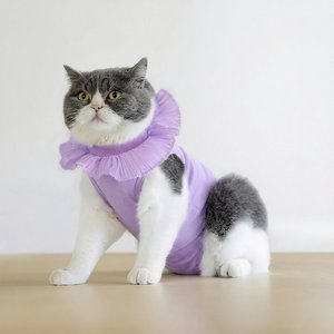 Happy & Polly Cat Recovery Suit, Purple, Medium