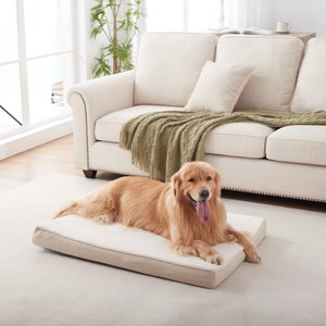 LFC PETS Ultra Comfort Memory Foam Dog & Cat Bed with Removable Cover, Beige, Large