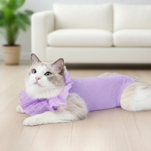 Happy & Polly Cat Recovery Suit, Purple, Medium