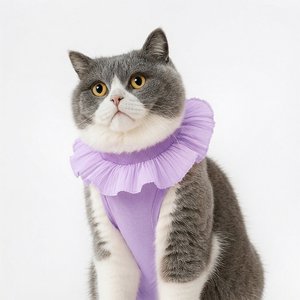 Happy & Polly Cat Recovery Suit, Purple, Medium