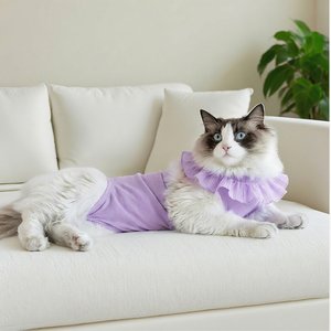 Happy & Polly Cat Recovery Suit, Purple, Medium