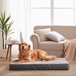 LFC PETS Ultra Comfort Memory Foam Dog & Cat Bed with Removable Cover, Grey, XX-Large