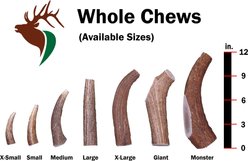 Elkhorn Premium Chews Whole Elk Antler Dog Chew, X-Small, 2 count slide 2 of 5