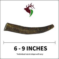 Elkhorn Premium Chews Whole Elk Antler Dog Chew, Medium slide 2 of 5