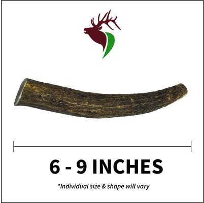Show full view: Elkhorn Premium Chews Whole Elk Antler Dog Chew, Medium slide 3 of 7