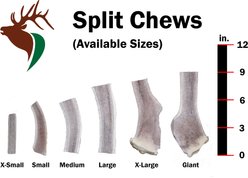 Elkhorn Premium Chews Split Elk Antler Dog Chew, Giant slide 2 of 5