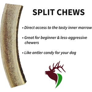 Elkhorn Premium Chews Split Elk Antler Dog Chew, Medium