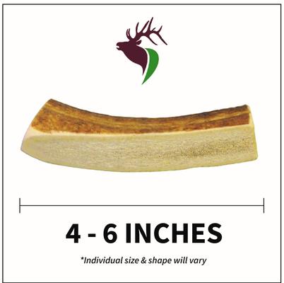 Show full view: Elkhorn Premium Chews Split Elk Antler Dog Chew, Small slide 3 of 7