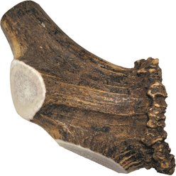 Elkhorn Premium Chews Split Elk Antler Dog Chew, Giant