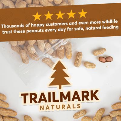 Show full view: Trailmark Naturals In Shell Raw Peanuts Bird Food, 15-lb box slide 7 of 7