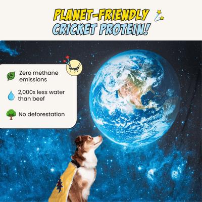 Show full view: Chippin Superfood Gut Health Peanut Butter Cricket Pumpkin Crunchy Dog Treats, 5-oz bag slide 8 of 11