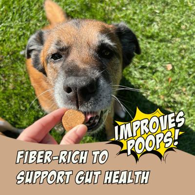 Show full view: Chippin Superfood Gut Health Peanut Butter Cricket Pumpkin Crunchy Dog Treats, 5-oz bag slide 4 of 11