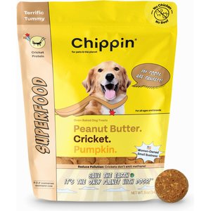Chippin Superfood Gut Health Peanut Butter Cricket Pumpkin Crunchy Dog Treats, 5-oz bag