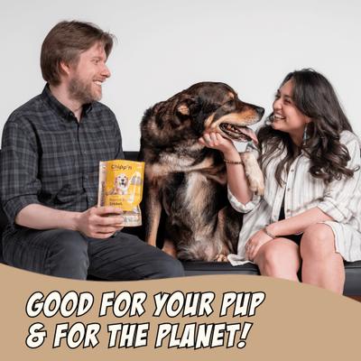 Show full view: Chippin Superfood Gut Health Peanut Butter Cricket Pumpkin Crunchy Dog Treats, 5-oz bag slide 6 of 11