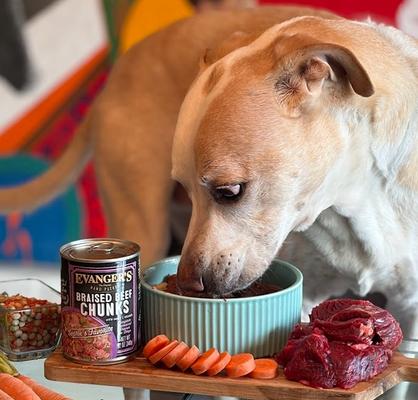 Show full view: Evanger's Grain-Free Hand Packed Braised Beef Chunks with Gravy Canned Dog Food, 12-oz, case of 12 slide 7 of 10
