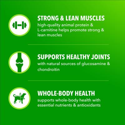 Show full view: Iams Proactive Health High Protein Chicken & Beef Dry Dog Food, 30-lb bag slide 6 of 10