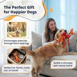 Pacific Pups Products Woodland Animals Fox Squeaky Plush Dog Toys, 2 count slide 2 of 6