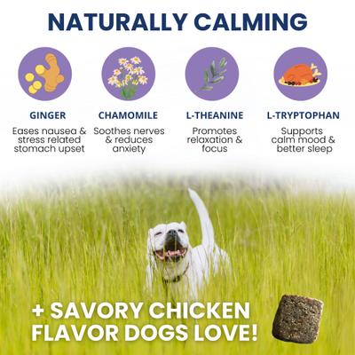 Show full view: Under the Weather Calming Soft Chews Dog Supplement, 60 count slide 5 of 8
