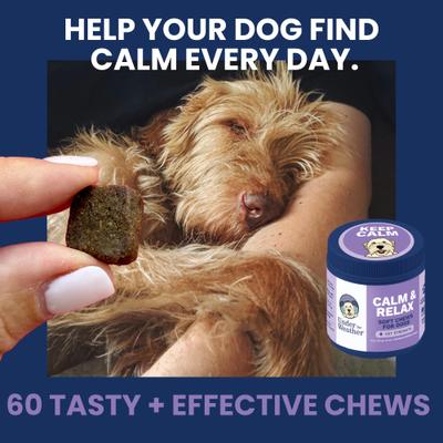Show full view: Under the Weather Calming Soft Chews Dog Supplement, 60 count slide 3 of 8