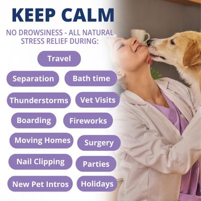 Show full view: Under the Weather Calming Soft Chews Dog Supplement, 60 count slide 4 of 8