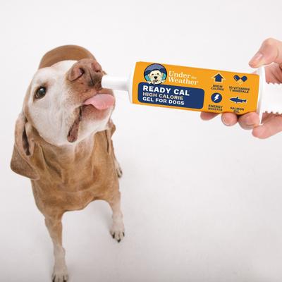 Show full view: Under the Weather Ready Cal High Calorie Food Nutritional Gel Dog Supplement, 100-cc syringe slide 6 of 8