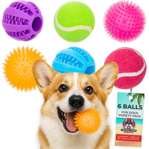 Pacific Pups Rescue Ball Dog Toy Variety Pack, 6 count