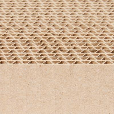 Show full view: Frisco Double-Wide Cat Scratcher Toy Refill with Catnip, 2 count slide 3 of 8