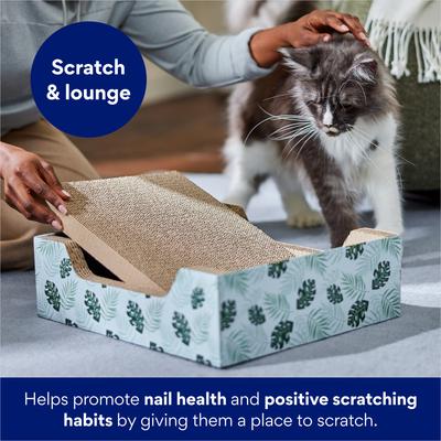 Show full view: Frisco Step-In Cat Scratcher Toy Refill with Catnip, 2 count slide 5 of 7