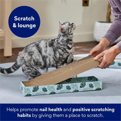 Show full view: Frisco Single-Wide Cat Scratcher Toy Refill with Catnip, 2 count slide 5 of 7