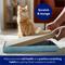 Show in main carousel: Frisco Double-Wide Cat Scratcher Toy Refill with Catnip, 2 count slide 5 of 8