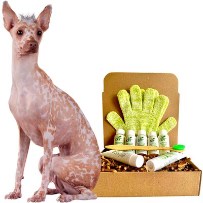 RenewedPet RenewedPet Hairless Dog Grooming Kit, Sample