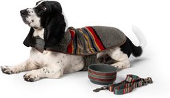 Pendleton 6-in Ceramic Dog Bowl, 3.5-cup, Yakima Stripe slide 2 of 9