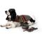Show in main carousel: Pendleton 6-in Ceramic Dog Bowl, 3.5-cup, Yakima Stripe slide 8 of 10