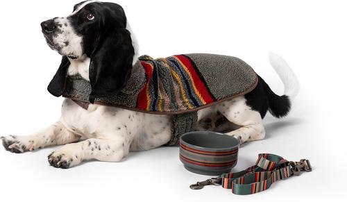 Show full view: Pendleton 6-in Ceramic Dog Bowl, 3.5-cup, Yakima Stripe slide 8 of 10