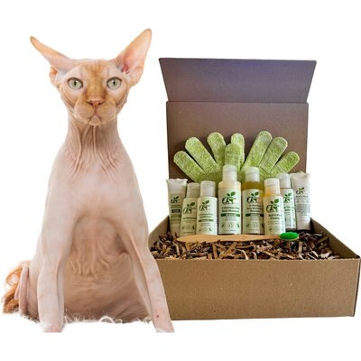 RenewedPet RenewedPet Hairless Cat Grooming Kit, Half