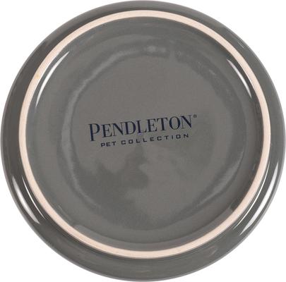 Show full view: Pendleton 6-in Ceramic Dog Bowl, 3.5-cup, Yakima Stripe slide 5 of 10