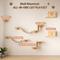 Show in main carousel: Coziwow 8-in-1 Wall-Mounted Cat Wall Shelves, Natural slide 4 of 9