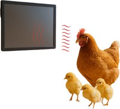 My Favorite Chicken Radiant Chicken Coop Heater, 100-watt