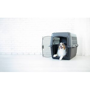Aspen Pet Traditional Dog & Cat Kennel, Gray/Black, 36-in