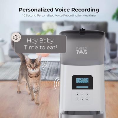 Show full view: Penthouse Paws Smart Automatic with LCD Panel Dog & Cat Feeder, 6-lit, White/Stainless Steel slide 3 of 10